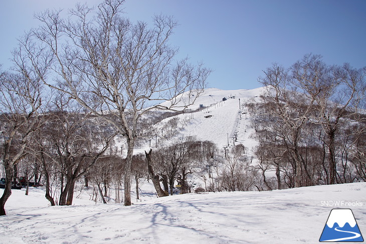 DYNASTAR SKI series Test Ride Days 2017 in ニセコユナイテッド【Day.2】～ニセコグラン・ヒラフ～